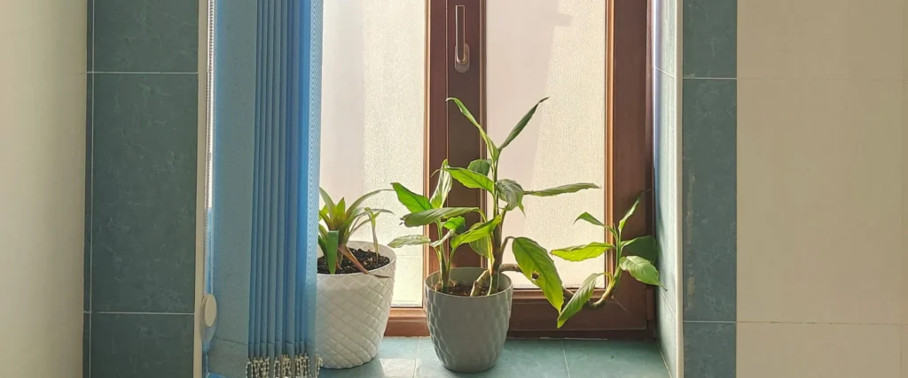 Instalación de persianas verticales en Querétaro