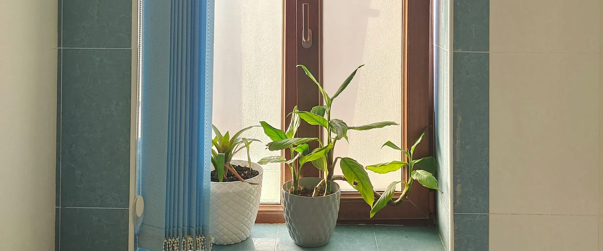 Instalación de persianas verticales en Querétaro